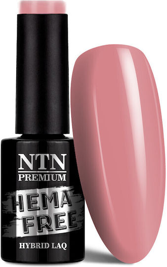 NTN Premium Ημιμόνιμο Βερνίκι Νυχιών 58 5ml