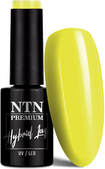 NTN Premium Sorbet Хибриден Лак за Нокти 147 5мл 1бр