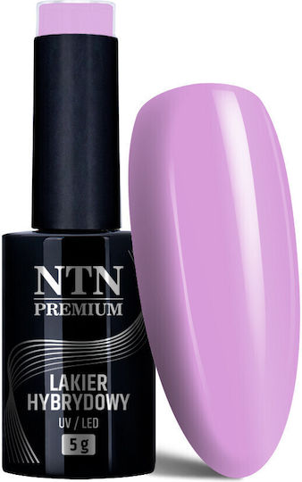 NTN Premium Semipermanent Lac de Unghii 175 5ml 1buc