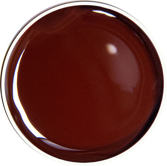 Alezori Nail Art Gel Brown 10gr