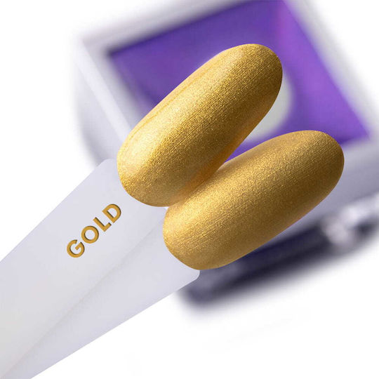 NTN Premium Gel Gel pentru Unghii Gel Ombre 5gr