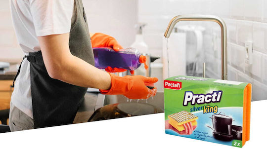 Paclan Practi Σετ Σφουγγάρια Πιάτων με Λαβή Ασημί 2τμχ
