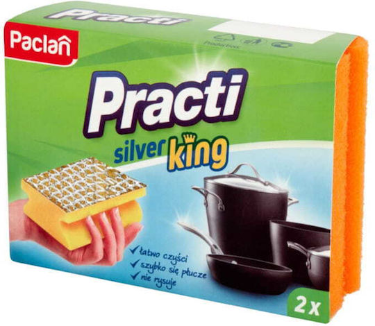Paclan Practi Σετ Σφουγγάρια Πιάτων με Λαβή Ασημί 2τμχ