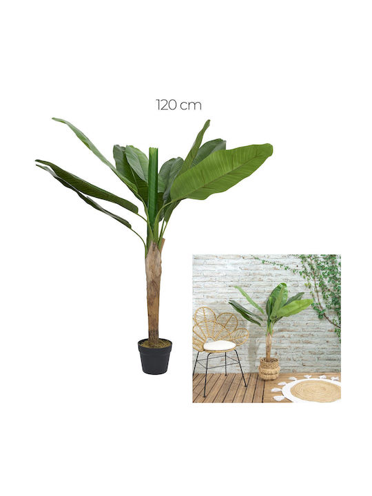 Μπανανιά σε Γλάστρα 120cm The Home Deco Factory