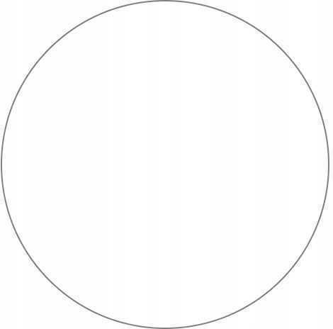 Sc Glass 2.5d Garmin Epix Pro Gen 2 51 Mm