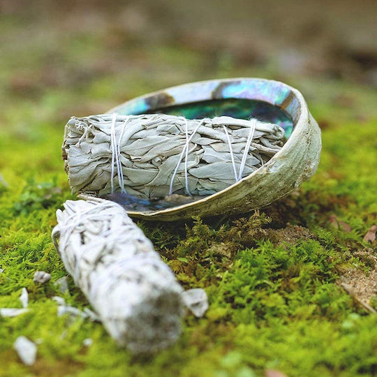White Sage Smudge Stick 10χ3cm 2 Ραβδιά Θυμιάματος Λευκό Φασκόμηλο