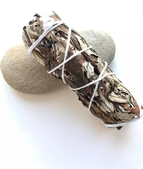 Yerba Santa Räucherstäbchen 10x3cm Räucherstäbchen Yerba & Salbei