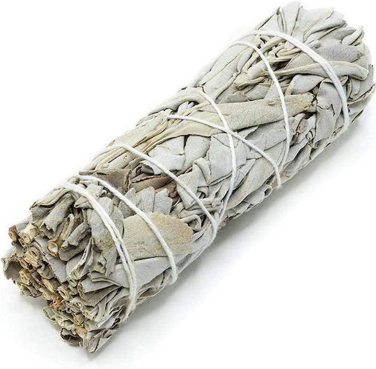 White Sage Smudge Stick 10χ3cm 2 Ραβδιά Θυμιάματος Λευκό Φασκόμηλο