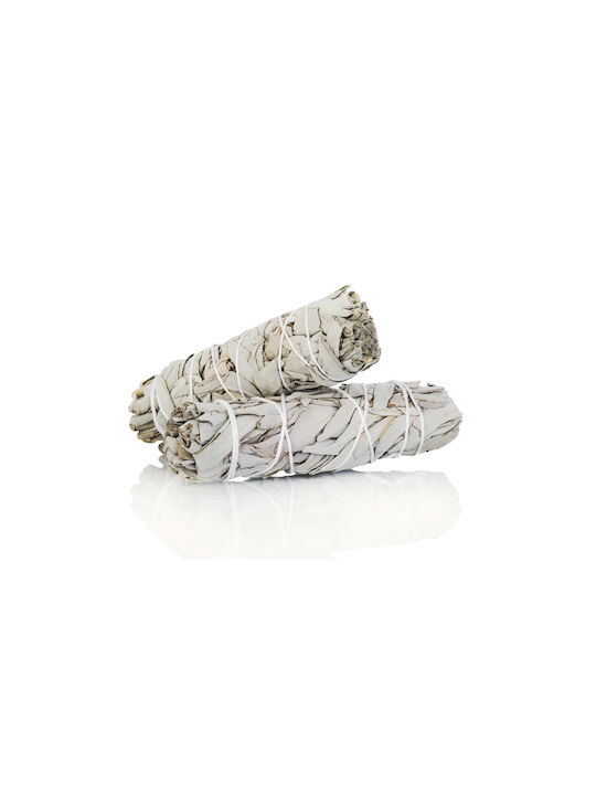 White Sage Smudge Stick 10χ3cm 2 Ραβδιά Θυμιάματος Λευκό Φασκόμηλο