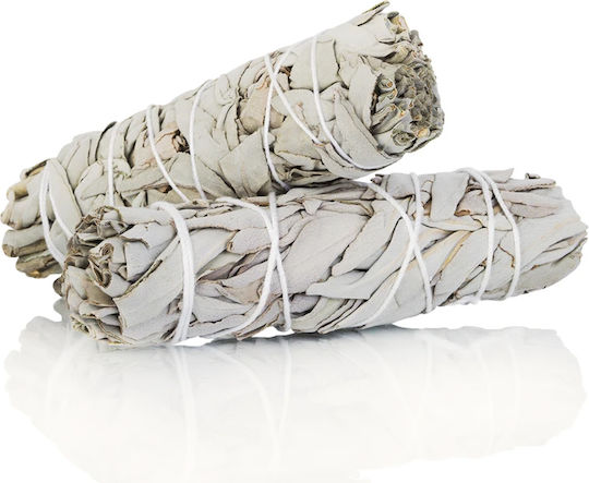 White Sage Smudge Stick 10χ3cm 2 Ραβδιά Θυμιάματος Λευκό Φασκόμηλο