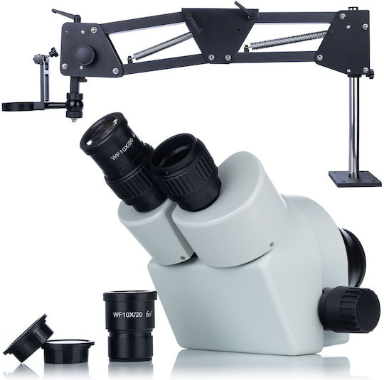 Rosfix Biological Educational Binocular Microscope