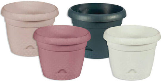 TnS Stala Pot Plastic TnS Stala Pot Plastic