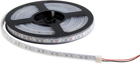 Waterproof LED Strip 24V Blue Light 5m Type SMD3528