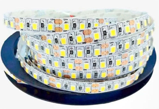 Vito LED Strip 12V Natural White Light 5m Type SMD2835