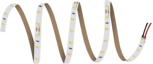 Ledvance LED Strip 24V Cold White Light 5m Type SMD2835