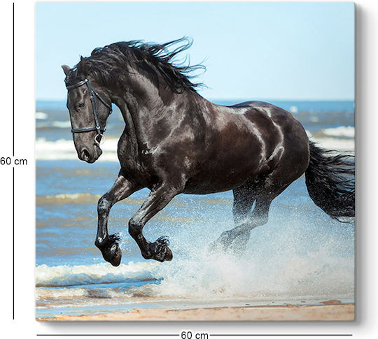 Megapap Black Horse Painting on Canvas 60x60cm