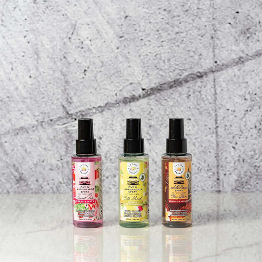 La Casa de los Aromas Lufterfrischer-Spray Auto Kaugummi 100ml 1Stück 048914