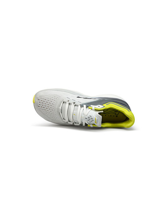 Vanish Tempo Sport Shoes Training Gray