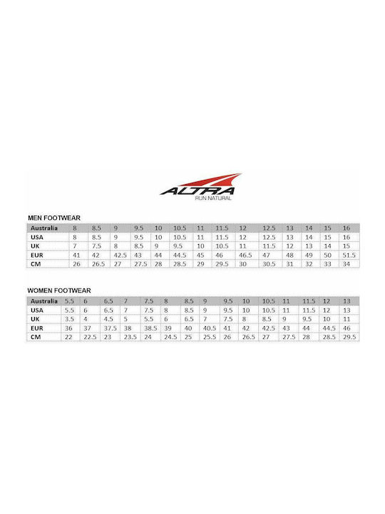 Vanish Tempo Sport Shoes Training Gray
