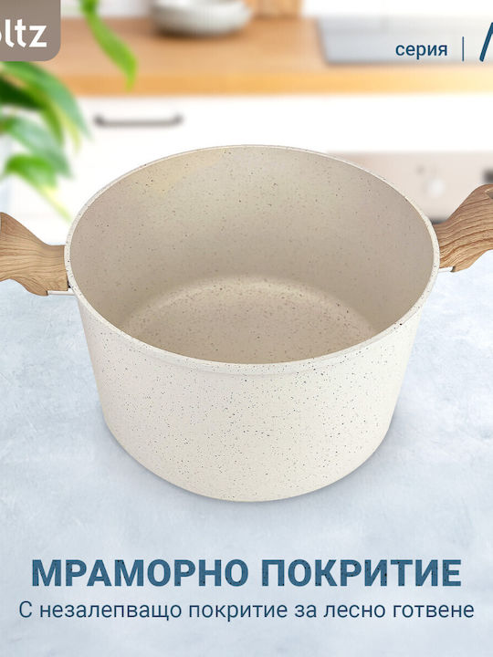Voltz Дълбока Тенджера 2.9лт /