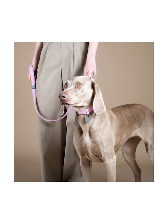 Leather Dog Collar My Family Wisteria Hermitage Pink Medium M