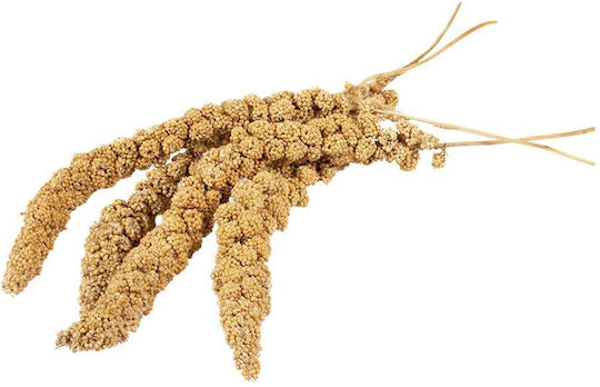 Witte Molen Τροφή για Παπαγαλάκια 150gr