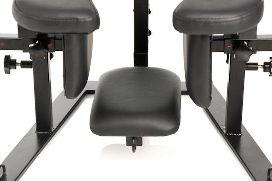 Master Series Pleasure Swing