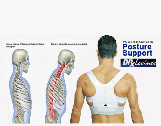 Factory Magnetic Belt Back for Men for Women White 7360