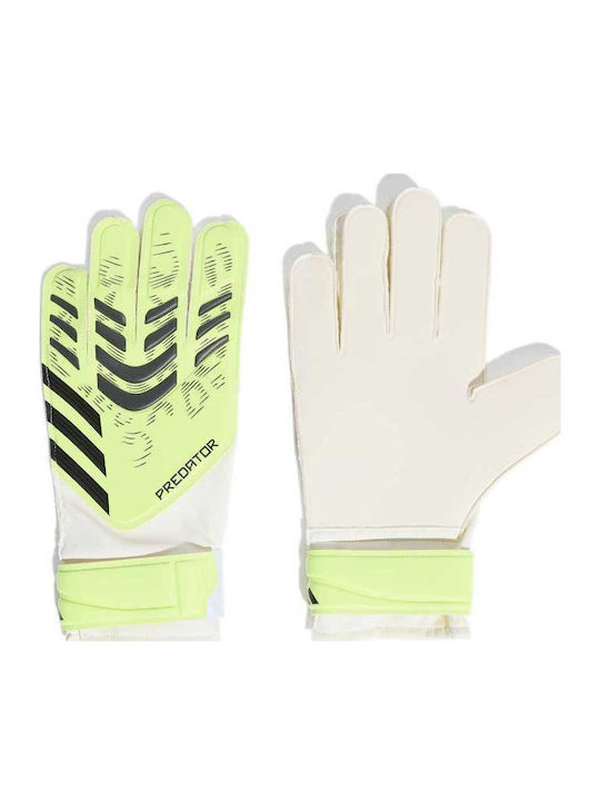 adidas Pred Gl Trn Γάντια Τερματοφύλακα Ενηλίκων Κίτρινα