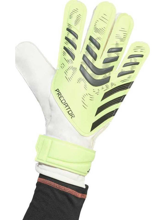 adidas Pred Gl Trn Γάντια Τερματοφύλακα Ενηλίκων Κίτρινα