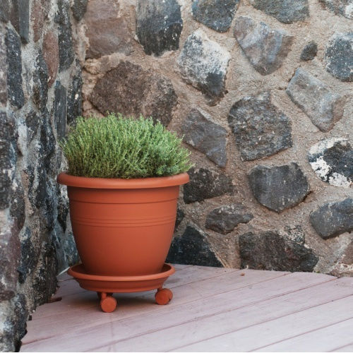 Viomes Plate Pot Terracotta Wheeled 35.5x35.5cm 273