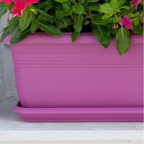 Viomes Plate Planter