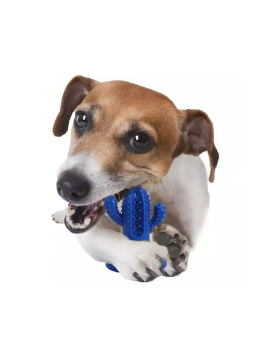 All For Paws Cactus Παιχνίδι Σκύλου από Καουτσούκ Small 8.4εκ. Μπλε 1τμχ
