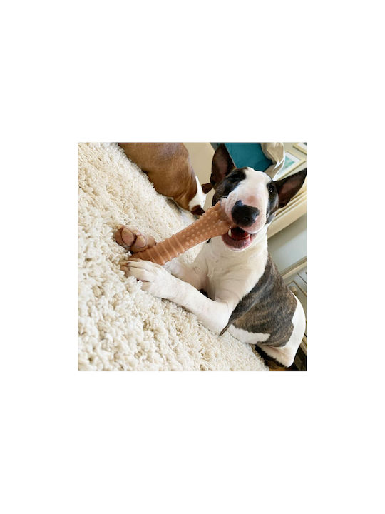 Nylabone Power Παιχνίδι Κόκκαλο Σκύλου Μασητικό με Γεύση Μπέικον XLarge 19εκ. Καφέ 1τμχ