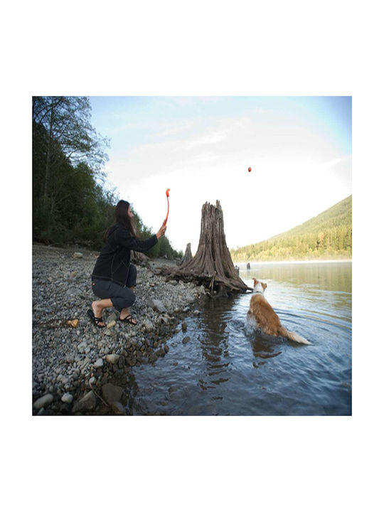 All For Paws Fetch Ballspielzeug Hund aus Gummi 5εκ. Gelb 6Stück