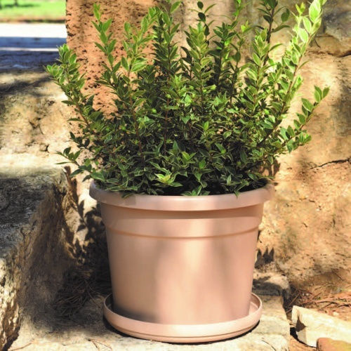 Viomes Cylindro