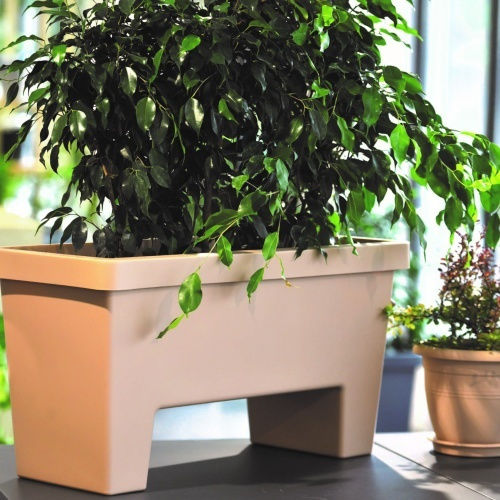 Lotus 60lt Zarnitniera 79x34 5x40 5h Cm-μολυβι