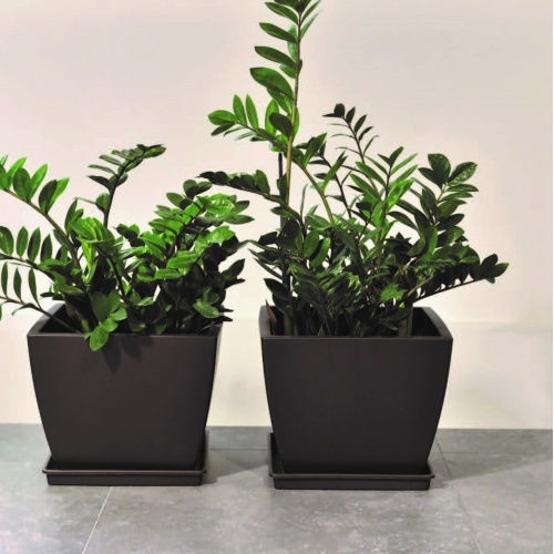 Plant Pots Tetp Linea 2lt 15x15x12 5h Cm Gray Brown