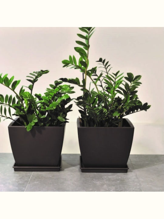 Каспо Tetp Linea 21л-33x33x27в см-Моливи