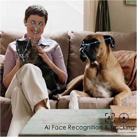 Enabot Ebo Air IP Companion Robot Κάμερα Wi-Fi Full HD 1080p Μπαταρίας με Αμφίδρομη Επικοινωνία