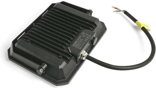 Ledvance Proiector LED Etanș 50W Alb Rece 5000K IP65