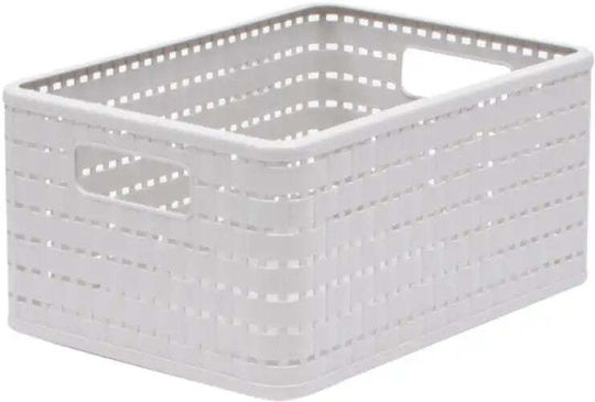 Rotho Babydesign Пластмаса Кутия за съхранение Кафяв 32.8x23.8x16см 1бр