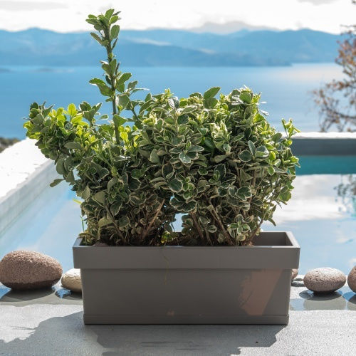 Viomes Linea Planter Box Plastic Taupe 58x18x17cm.
