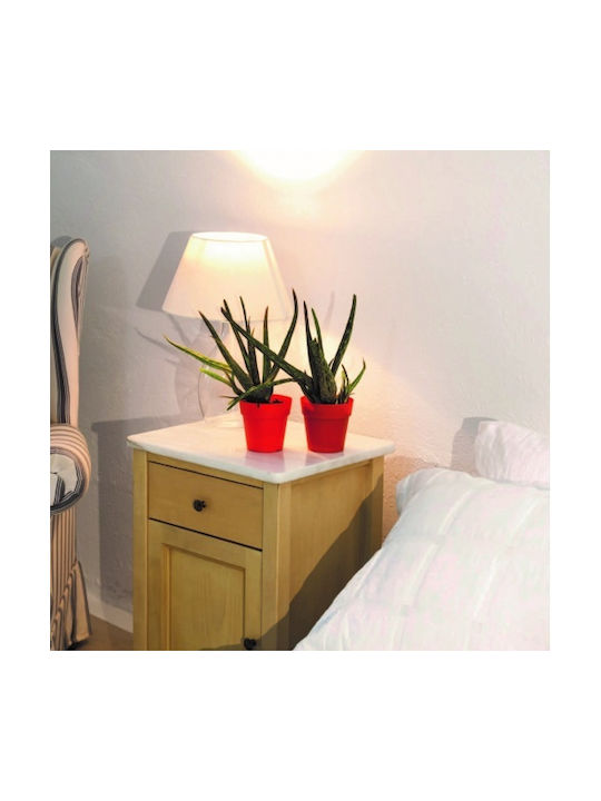 Viomes Linea Pot Plastic Charcoal 13x13x13cm.