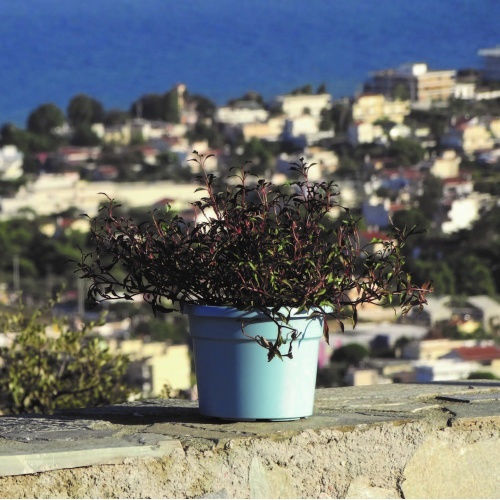 Viomes Cylindro Γλάστρα Πλαστική Σιελ Μπλε 35x35x26εκ.