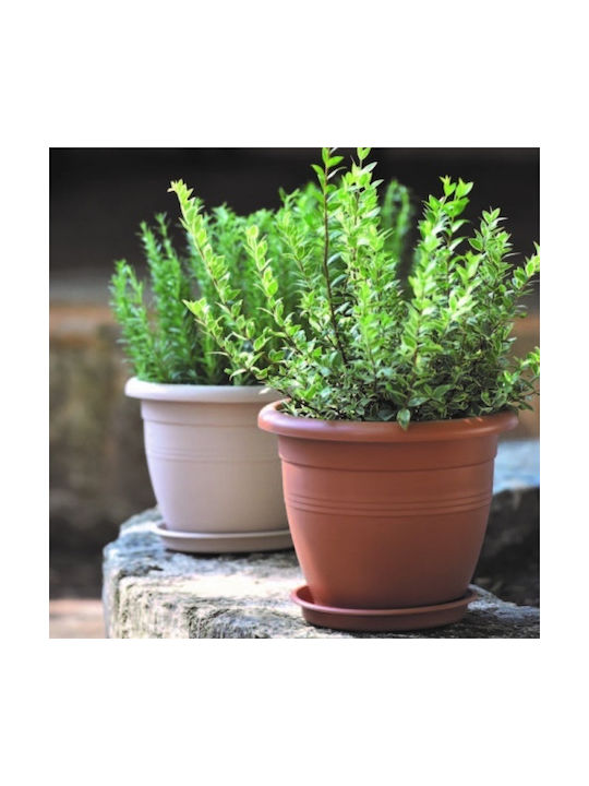 Viomes Terracotta Pot Plastic Terracotta 29x29x23cm.