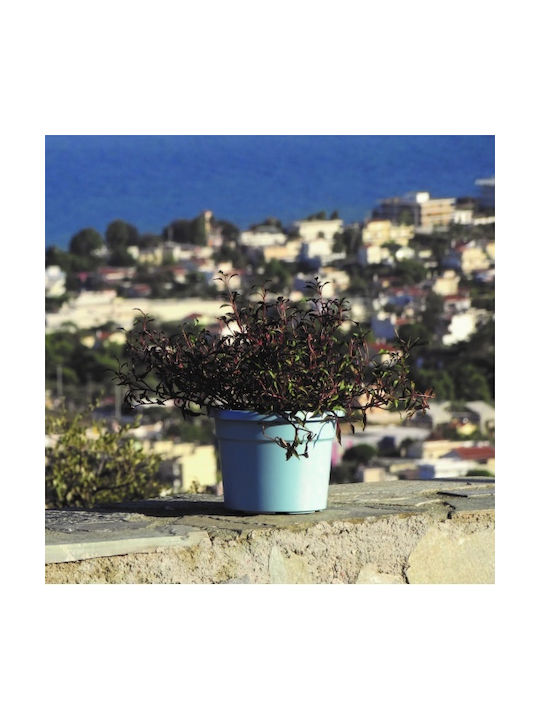 Viomes Cylindro Γλάστρα Πλαστική Πράσινη 25x25x19εκ.