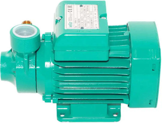 Wilo Electric Surface Water Pump 0.75hp