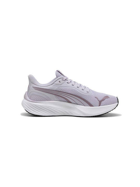 Pounce Lite Sport Shoes Running Purple