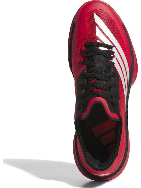Adizero Select 3.0 Low Basketball Shoes Red